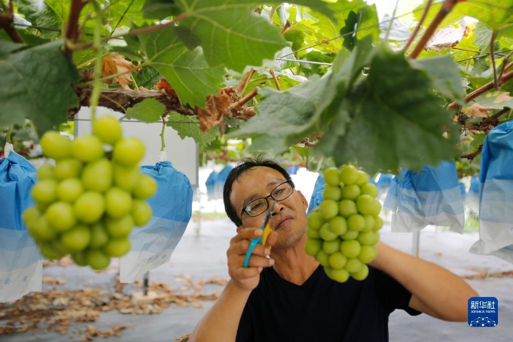 夺宝游戏大师